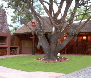 Treetops Guesthouse