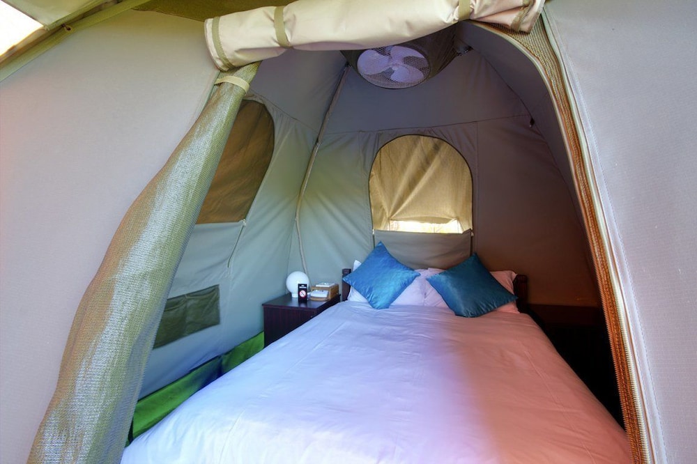 Monzi Safaris Backpackers