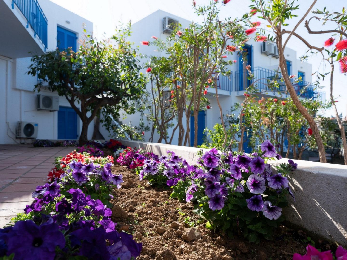 Kirki Village Ξενοδοχείο