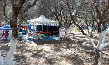 Camping Chania