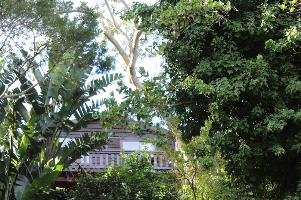 Treehouse Cottage